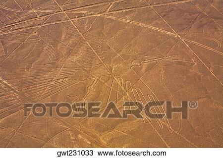 High angle view of Nazca lines, Nazca, Peru View Large Photo Image Stock Image - High angle view of Nazca lines, Nazca, Peru. Fotosearch
