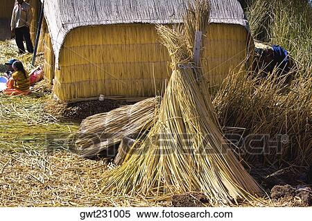 Hut in a village, Uros Floating Islands, Puno, Peru View Large Photo Image Stock Photography - Hut in a village, Uros Floating Islands, Puno, Peru. Fotosearch