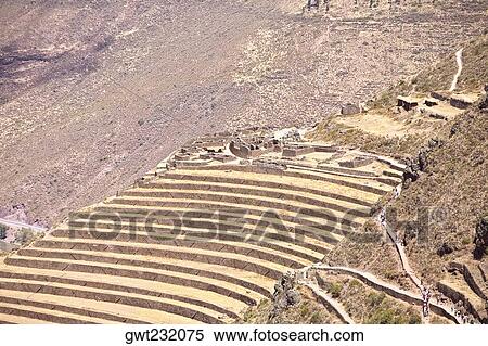 High angle view of a terraced field, Pisaq, Urubamba Valley, Peru View Large Photo Image Stock Photography - High angle view of a terraced field, Pisaq, Urubamba Valley, Peru. Fotosearch