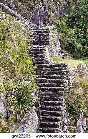 High angle view of ruined steps, Aguas Calientes, Mt Huayna Picchu, Machu Picchu, Cusco Region, Peru View Large Photo Image Stock Image - High angle view of ruined steps, Aguas Calientes, Mt Huayna Picchu, Machu Picchu, Cusco Region, Peru. Fotosearch