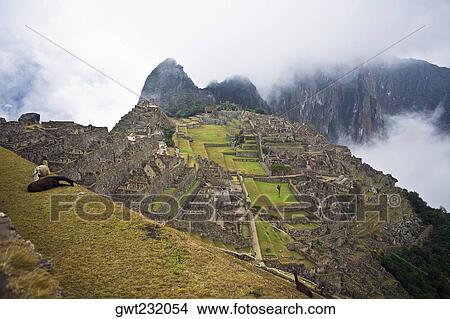 High angle view of ruins on mountains, Machu Picchu, Cusco Region, Peru View Large Photo Image Picture - High angle view of ruins on mountains, Machu Picchu, Cusco Region, Peru. Fotosearch