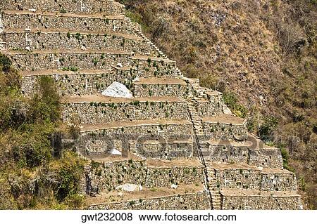 Old ruins of steps in a forest, Choquequirao, Inca, Cusco Region, Peru View Large Photo Image Stock Photo - Old ruins of steps in a forest, Choquequirao, Inca, Cusco Region, Peru. Fotosearch
