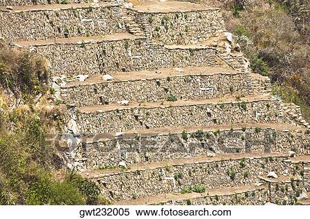 Old ruins of steps in a forest, Choquequirao, Inca, Cusco Region, Peru View Large Photo Image Stock Photography - Old ruins of steps in a forest, Choquequirao, Inca, Cusco Region, Peru. Fotosearch