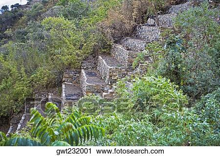 Steps of an old ruin, Choquequirao, Inca, Cusco Region, Peru View Large Photo Image Stock Image - Steps of an old ruin, Choquequirao, Inca, Cusco Region, Peru. Fotosearch