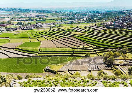 High angle view of a terraced field, Sabandia, Arequipa, Peru View Large Photo Image Stock Image - High angle view of a terraced field, Sabandia, Arequipa, Peru. Fotosearch