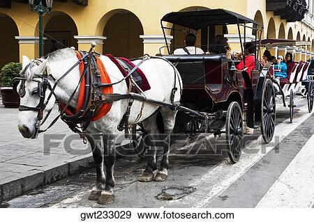 Horsedrawns in front of a building, Plaza-de-Armas, Lima, Peru View Large Photo Image Stock Photo - Horsedrawns in front of a building, Plaza-de-Armas, Lima, Peru. Fotosearch