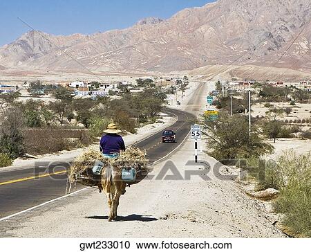 Rear view of a man riding a donkey loaded with hay View Large Photo Image Stock Image - Rear view of a man riding a donkey loaded with hay. Fotosearch