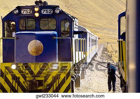 Rear view of a man walking near a train, Puno, Cuzco, Peru View Large Photo Image Picture - Rear view of a man walking near a train, Puno, Cuzco, Peru. Fotosearch