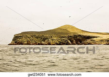 Birds flying over an island, Ballestas Islands, Paracas National Reserve, Paracas, Ica Region, Peru View Large Photo Image Stock Image - Birds flying over an island, Ballestas Islands, Paracas National Reserve, Paracas, Ica Region, Peru. Fotosearch