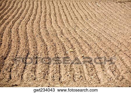 Stock Image - High angle view of a plowed field, Puno, Peru. Fotosearch