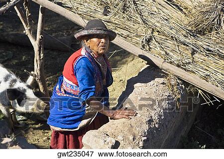 High angle view of a senior woman standing with a pig in a barn, Coshnirua, Peru View Large Photo Image Stock Photo - High angle view of a senior woman standing with a pig in a barn, Coshnirua, Peru. Fotosearch