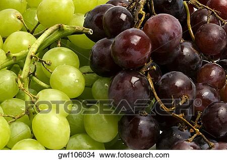 Close-up of grapes View Large Photo Image Picture - Close-up of grapes. Fotosearch