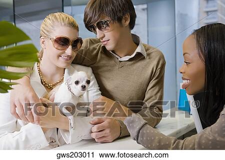 Young couple and a young woman looking at a puppy View Large Photo Image Stock Image - Young couple and a young woman looking at a puppy. Fotosearch