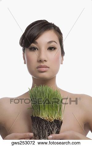 Portrait of a young woman holding wheatgrass View Large Photo Image Stock Image - Portrait of a young woman holding wheatgrass. Fotosearch