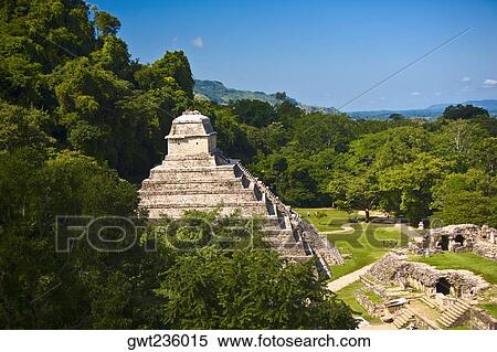 High angle view of old ruins of buildings, Templo De los Inscripciones, Palenque, Chiapas, Mexico View Large Photo Image Stock Photography - High angle view of old ruins of buildings, Templo De los Inscripciones, Palenque, Chiapas, Mexico. Fotosearch