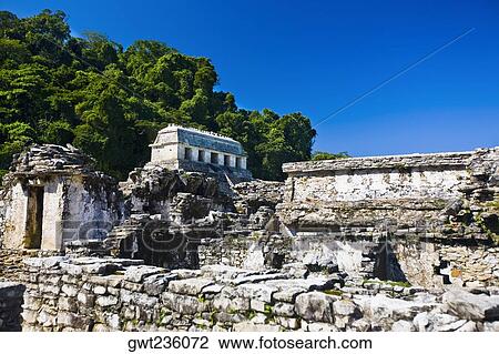 Old ruins of a temple, Templo De los Inscripciones, Palenque, Chiapas, Mexico View Large Photo Image Stock Image - Old ruins of a temple, Templo De los Inscripciones, Palenque, Chiapas, Mexico. Fotosearch