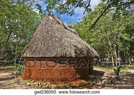 Thatched roof house surrounded by trees, Chichen Itza, Yucatan, Mexico View Large Photo Image Stock Image - Thatched roof house surrounded by trees, Chichen Itza, Yucatan, Mexico. Fotosearch