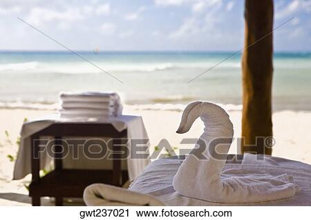 Close-up of a duck shape towel on a table, Playa Del Carmen, Quintana Roo, Mexico View Large Photo Image Stock Image - Close-up of a duck shape towel on a table, Playa Del Carmen, Quintana Roo, Mexico. Fotosearch