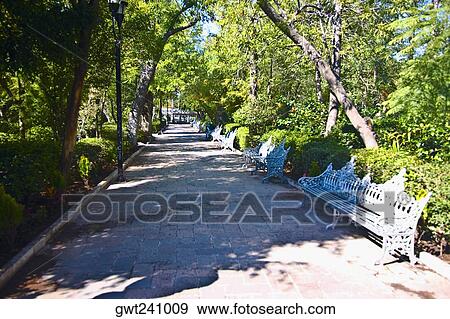 Empty benches in a park, Jardin De San Marcos, Aguascalientes, Mexico View Large Photo Image Stock Photo - Empty benches in a park, Jardin De San Marcos, Aguascalientes, Mexico. Fotosearch