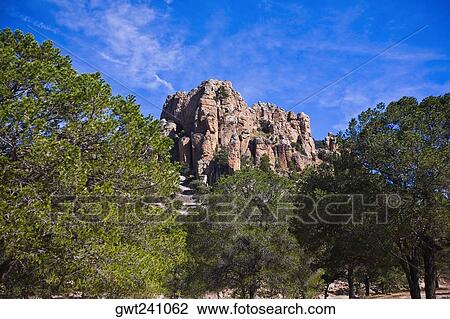 Low angle view of trees in front of rock formations, Sierra De Organos, Sombrerete, Zacatecas State, Mexico View Large Photo Image Stock Image - Low angle view of trees in front of rock formations, Sierra De Organos, Sombrerete, Zacatecas State, Mexico. Fotosearch