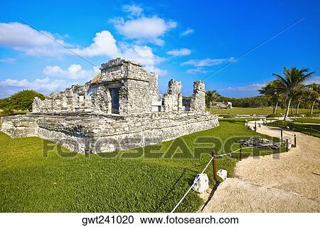 Old ruins of a palace in a grassy field, Zona Arqueologica De Tulum, Cancun, Quintana Roo, Mexico View Large Photo Image Stock Image - Old ruins of a palace in a grassy field, Zona Arqueologica De Tulum, Cancun, Quintana Roo, Mexico. Fotosearch