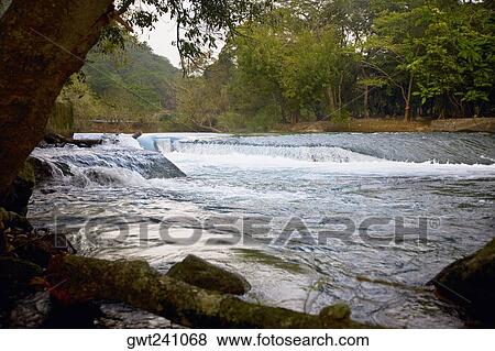 River flowing through forest, Waterfalls of the Monkeys, City Valleys, San Luis Potosi, Mexico View Large Photo Image Stock Photo - River flowing through forest, Waterfalls of the Monkeys, City Valleys, San Luis Potosi, Mexico. Fotosearch