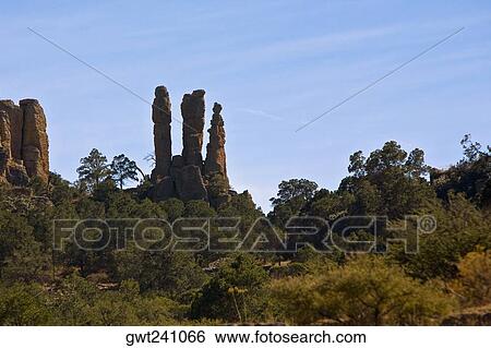 Rock formations in a forest, Sierra De Organos, Sombrerete, Zacatecas State, Mexico View Large Photo Image Stock Photograph - Rock formations in a forest, Sierra De Organos, Sombrerete, Zacatecas State, Mexico. Fotosearch