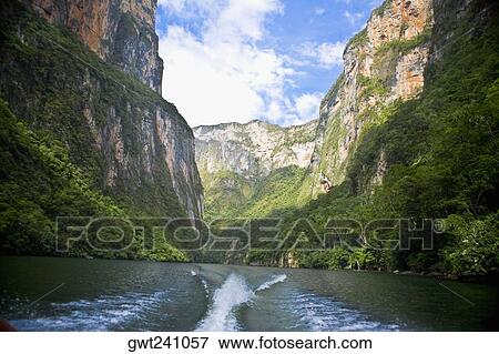 Trees on mountains, Sumidero Canyon, Chiapas, Mexico View Large Photo Image Stock Photo - Trees on mountains, Sumidero Canyon, Chiapas, Mexico. Fotosearch