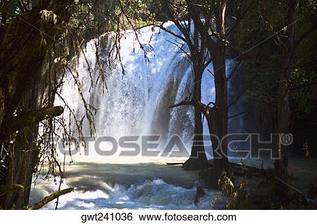Waterfall in a forest, El Chiflon, Socoltenango, Chiapas, Mexico View Large Photo Image Stock Photograph - Waterfall in a forest, El Chiflon, Socoltenango, Chiapas, Mexico. Fotosearch