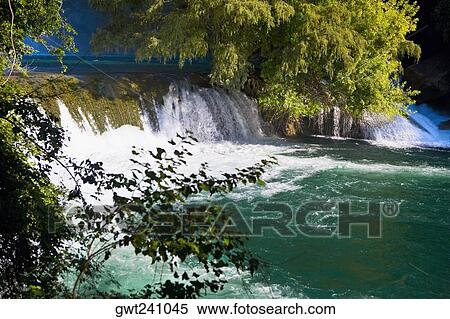 Stock Photography - Waterfall in a forest, Waterfalls of the Monkeys, City Valleys, San Luis Potosi, Mexico. Fotosearch