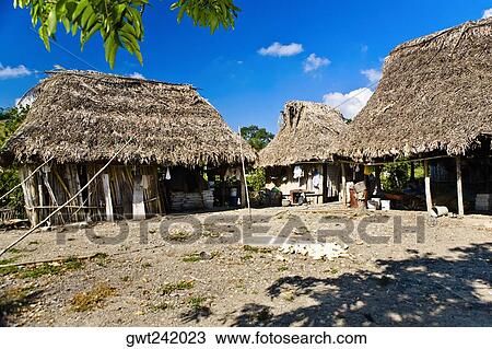 Houses in a village, Hidalgo, Papantla, Veracruz, Mexico View Large Photo Image Stock Image - Houses in a village, Hidalgo, Papantla, Veracruz, Mexico. Fotosearch