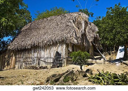 Low angle view of a house in a village, Hidalgo, Papantla, Veracruz, Mexico View Large Photo Image Stock Image - Low angle view of a house in a village, Hidalgo, Papantla, Veracruz, Mexico. Fotosearch