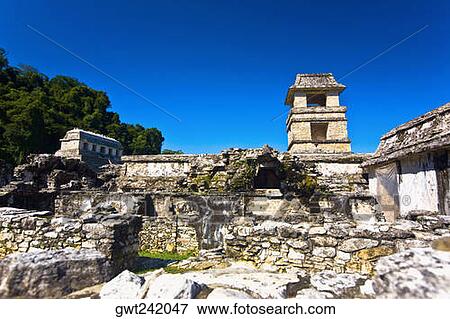 Low angle view of old ruins of the watchtower of a palace, Palenque, Chiapas, Mexico View Large Photo Image Stock Photo - Low angle view of old ruins of the watchtower of a palace, Palenque, Chiapas, Mexico. Fotosearch