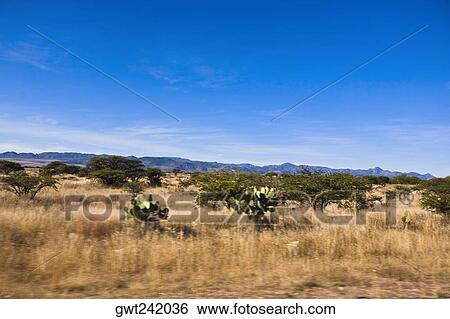 Panoramic view of a landscape, Sombrerete, Zacatecas State, Mexico View Large Photo Image Stock Photograph - Panoramic view of a landscape, Sombrerete, Zacatecas State, Mexico. Fotosearch