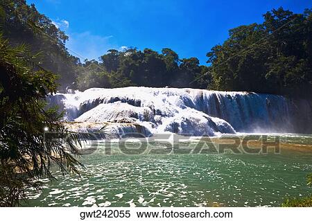 Waterfall in a forest, Agua Azul Waterfalls, Chiapas, Mexico View Large Photo Image Stock Photography - Waterfall in a forest, Agua Azul Waterfalls, Chiapas, Mexico. Fotosearch