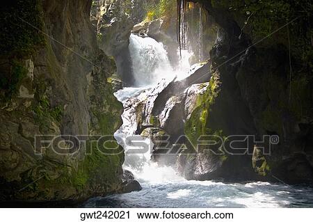 Waterfall in a forest, Puente De Dios, San Luis Potosi, Mexico View Large Photo Image Stock Image - Waterfall in a forest, Puente De Dios, San Luis Potosi, Mexico. Fotosearch