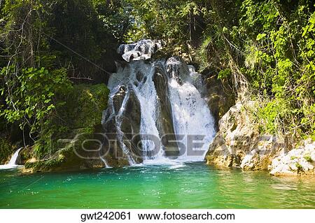 Waterfall in a forest, Tamasopo Waterfalls, Tamasopo, San luis Potosi, Mexico View Large Photo Image Stock Image - Waterfall in a forest, Tamasopo Waterfalls, Tamasopo, San luis Potosi, Mexico. Fotosearch