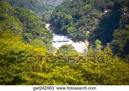 Waterfall in a forest, Waterfalls of the Monkeys, City Valleys, San Luis Potosi, Mexico View Large Photo Image Stock Image - Waterfall in a forest, Waterfalls of the Monkeys, City Valleys, San Luis Potosi, Mexico. Fotosearch