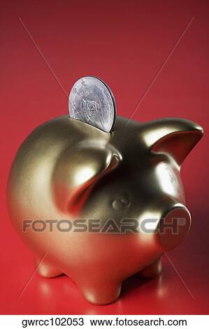 Close-up of a coin getting inserted in a piggy bank View Large Photo Image Stock Image - Close-up of a coin getting inserted in a piggy bank. Fotosearch
