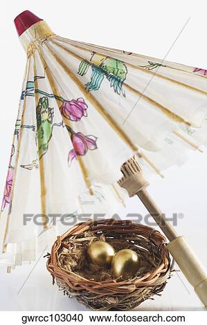 Close-up of golden eggs in a bird's nest with a parasol View Large Photo Image Stock Image - Close-up of golden eggs in a bird's nest with a parasol. Fotosearch