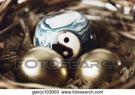 Close-up of golden eggs with a yin yang ball in a bird's nest View Large Photo Image Stock Image - Close-up of golden eggs with a yin yang ball in a bird's nest. Fotosearch