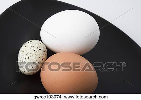 Close-up of three eggs in a plate View Large Photo Image Picture - Close-up of three eggs in a plate. Fotosearch