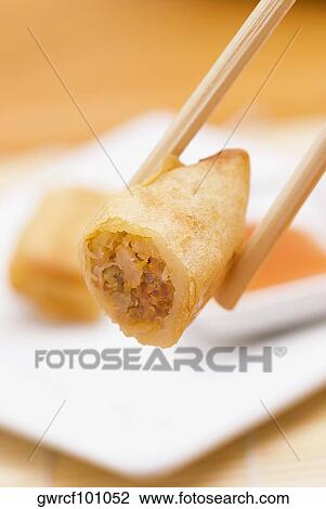 Close-up of a spring roll held in chopsticks View Large Photo Image Stock Image - Close-up of a spring roll held in chopsticks. Fotosearch
