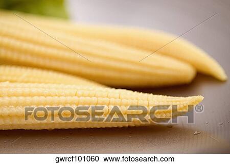 Close-up of corn cobs View Large Photo Image Stock Image - Close-up of corn cobs. Fotosearch