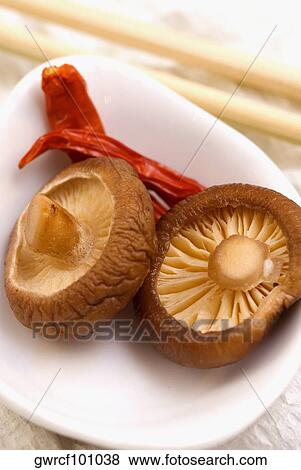 Close-up of red chili peppers with hon-shimeji mushrooms in a bowl View Large Photo Image Stock Photo - Close-up of red chili peppers with hon-shimeji mushrooms in a bowl. Fotosearch