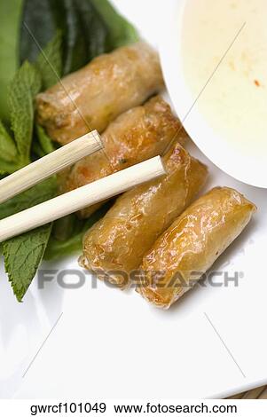 Close-up of spring rolls served in a tray View Large Photo Image Stock Photo - Close-up of spring rolls served in a tray. Fotosearch