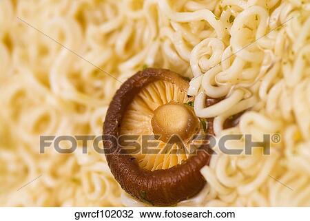 Close-up of hon-shimeji mushroom over noodles View Large Photo Image Stock Image - Close-up of hon-shimeji mushroom over noodles. Fotosearch