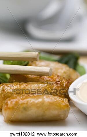Close-up of spring rolls View Large Photo Image Stock Image - Close-up of spring rolls. Fotosearch
