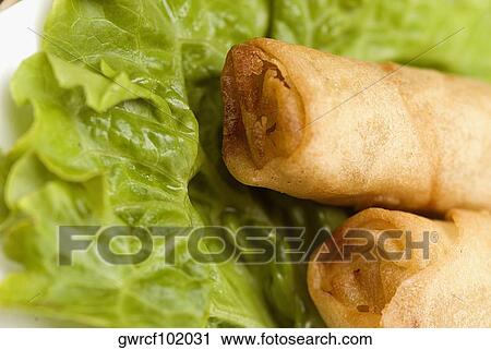 Close-up of spring rolls View Large Photo Image Stock Image - Close-up of spring rolls. Fotosearch