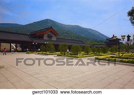 Plants in the courtyard of a temple, Shaolin Monastery, Henan Province, China View Large Photo Image Stock Image - Plants in the courtyard of a temple, Shaolin Monastery, Henan Province, China. Fotosearch